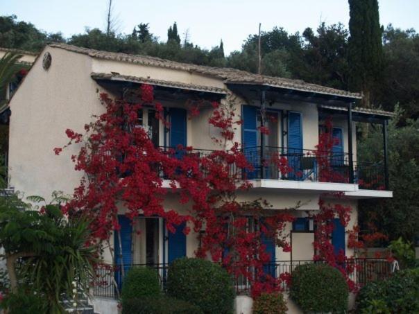 باليوكاستريتسا Villa Fiorita المظهر الخارجي الصورة