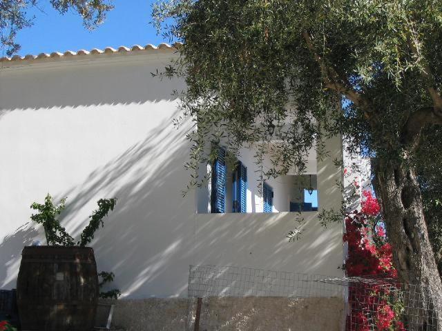 باليوكاستريتسا Villa Fiorita المظهر الخارجي الصورة